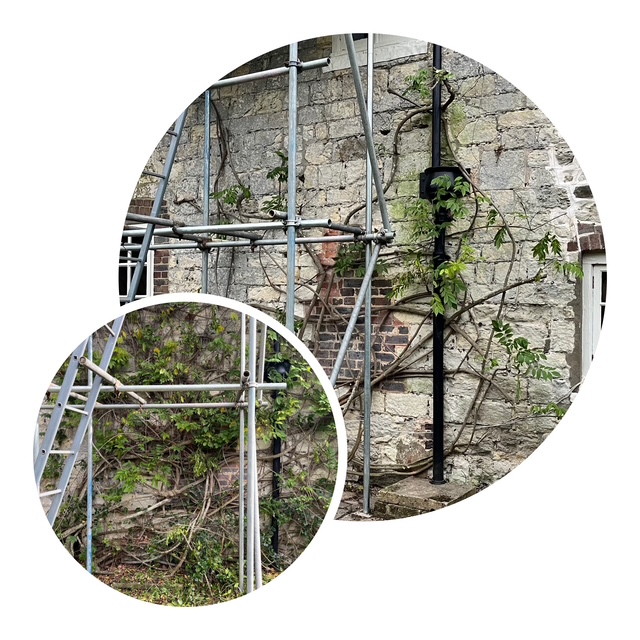 Gardener: Image 4